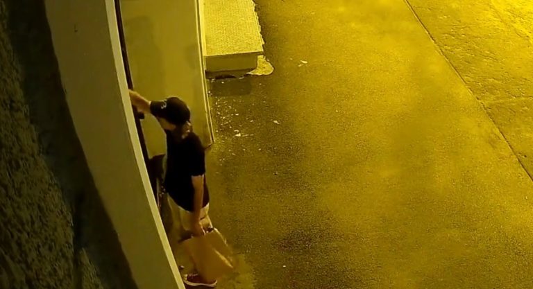 Полиция просит помощи в поиске хулигана, разрисовавшего ворота
