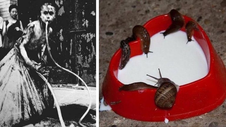 20 фотографий с жуткой и тревожной атмосферой, которые могли бы стать локацией к фильму ужасов