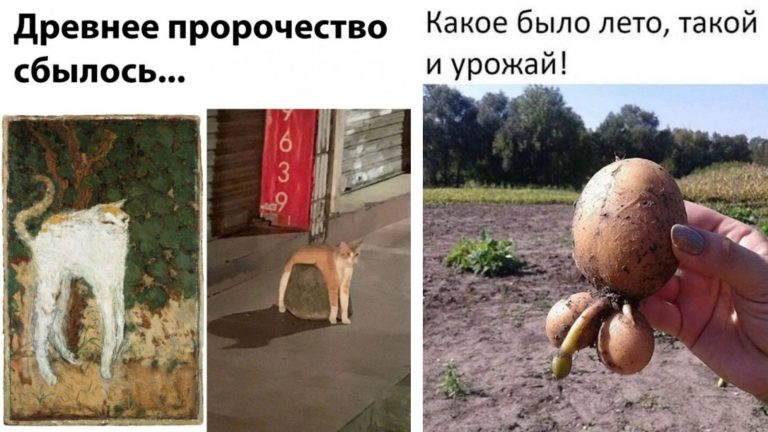 Прикольные картинки с надписями и древнее пророчество
