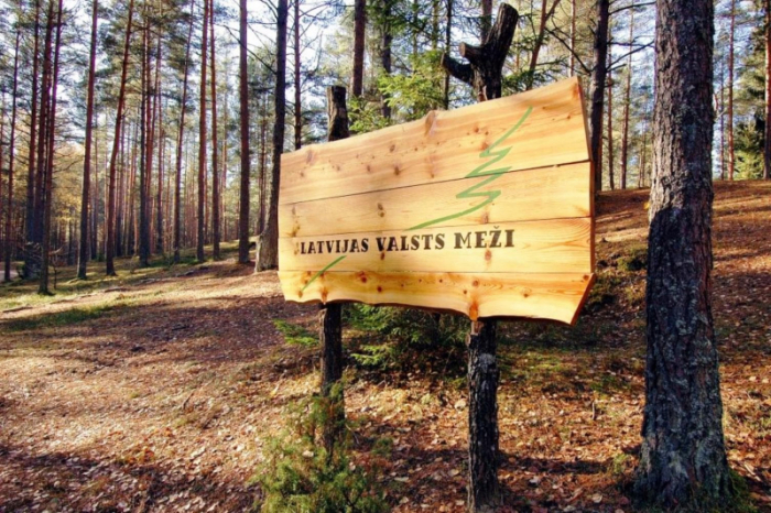 Latvijas valsts meži поставляет щепу только латвийским производственным предприятиями