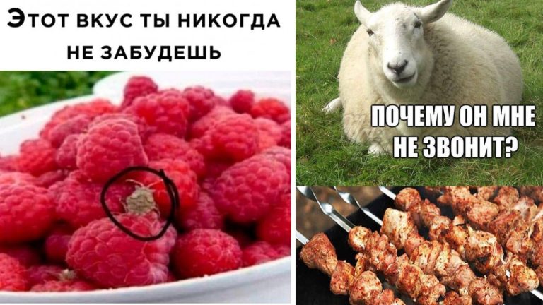 Прикольные картинки с надписями и вкус малины