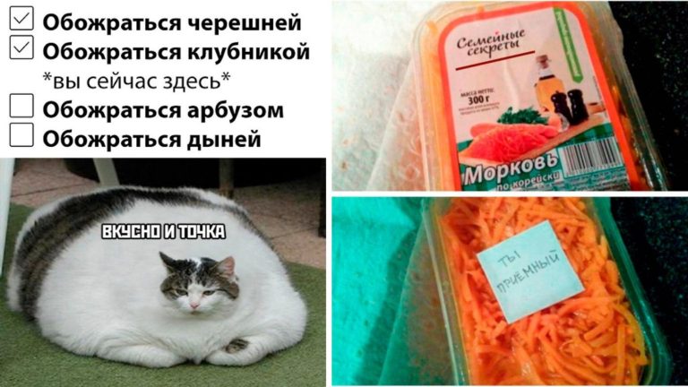 Прикольные картинки с надписями и семейные секреты