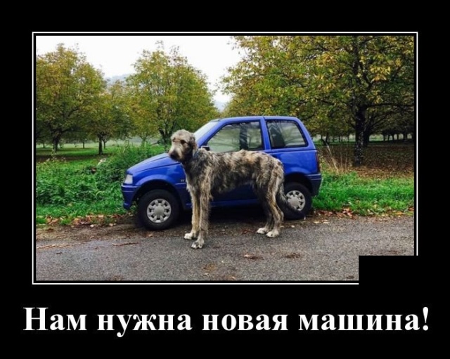 Новые демотиваторы и машина побольше