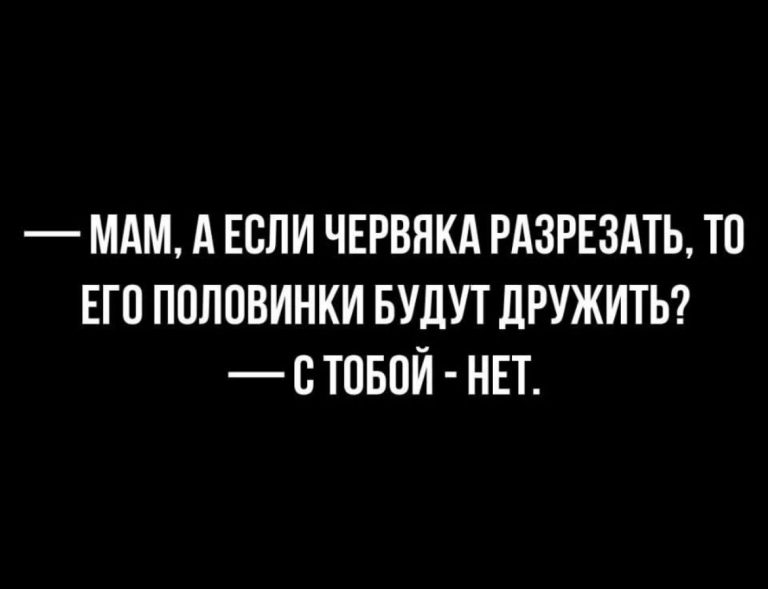 Юмор за день и каракатица
