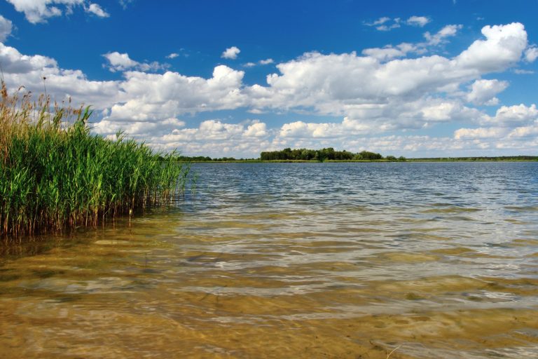 В Латвии температура воды на пляжах выше +20 градусов