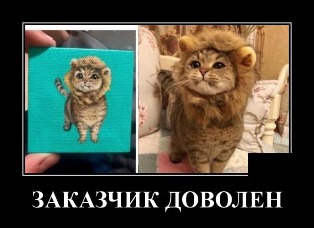 Новые демотиваторы и довольный заказчик