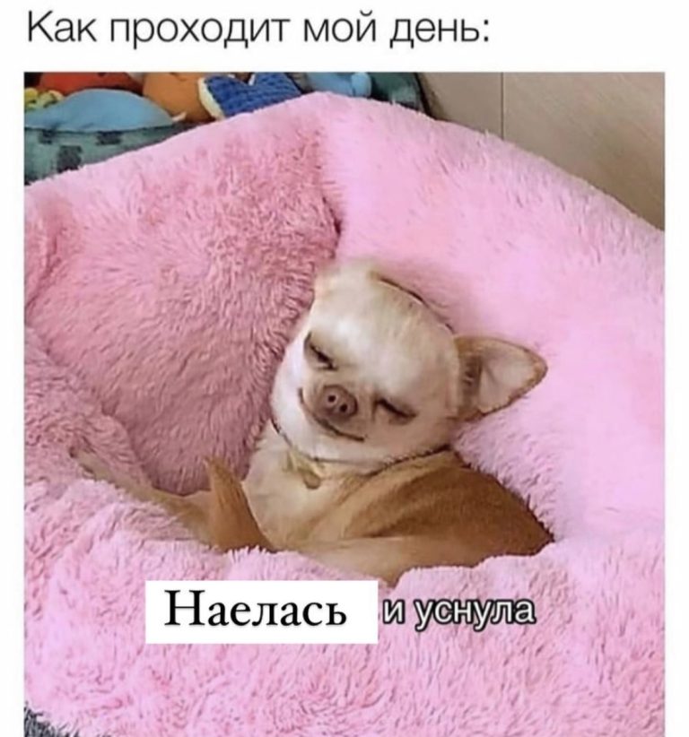 Юмор за день и секрет долголетия