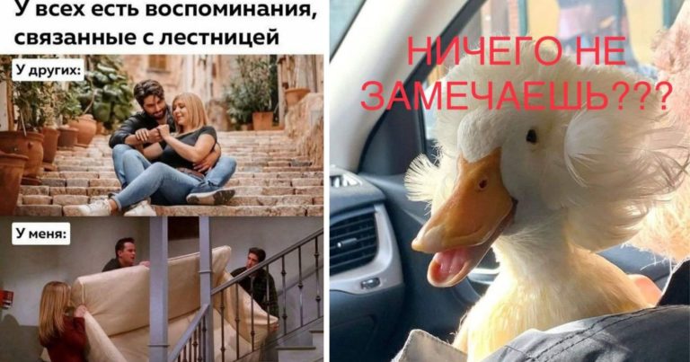 Свежие приколы для поднятия настроения. Новая порция эндорфина на весь день!