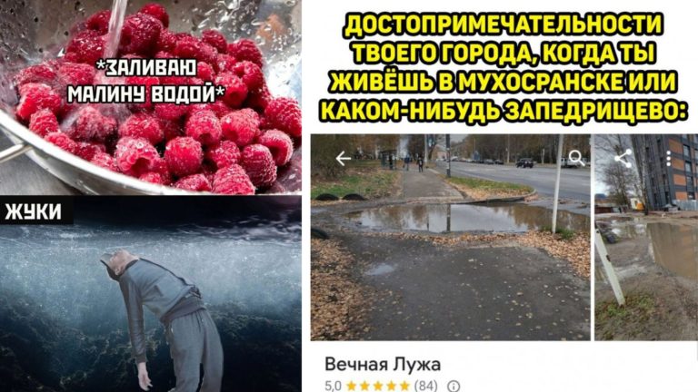 Прикольные картинки с надписями и вечная лужа