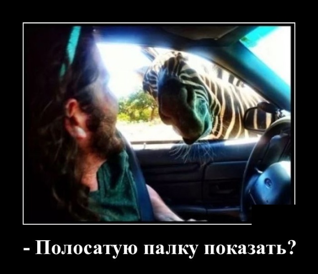Новые демотиваторы и полосатая палка