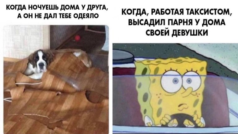 Юмор за день и когда не дали одеяло