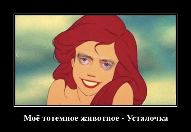 Новые демотиваторы и Усталочка