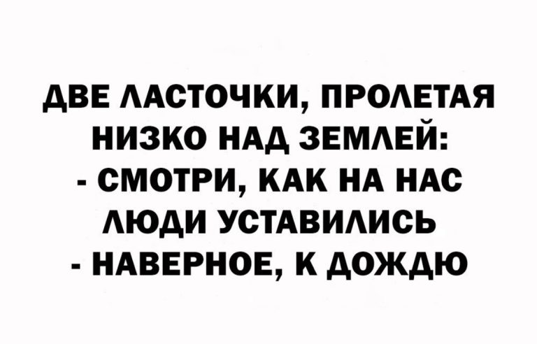 Юмор за день и чек в пакете