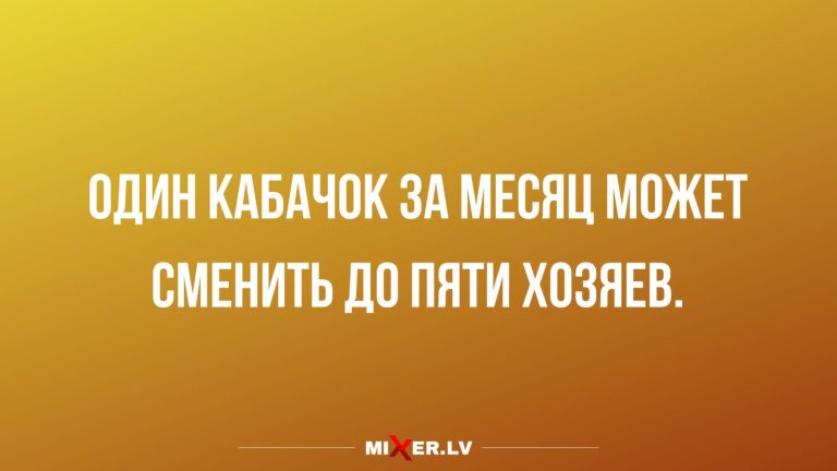 Юмор за день и хозяева кабачков