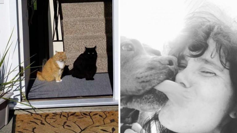 20 фотографий, смысл которых понятен только после подсказки