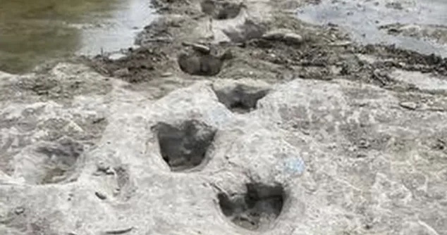 Следы динозавров и древние города: что появилось из-под воды из-за засухи