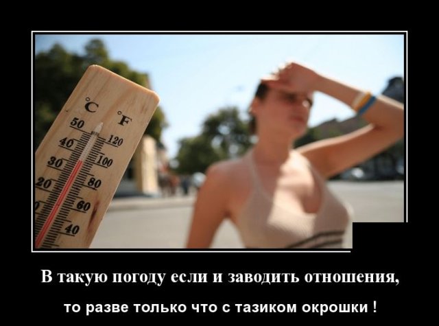 Новые демотиваторы и тазик окрошки