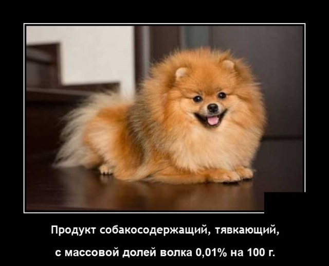 Новые демотиваторы и сабокодержащий продукт