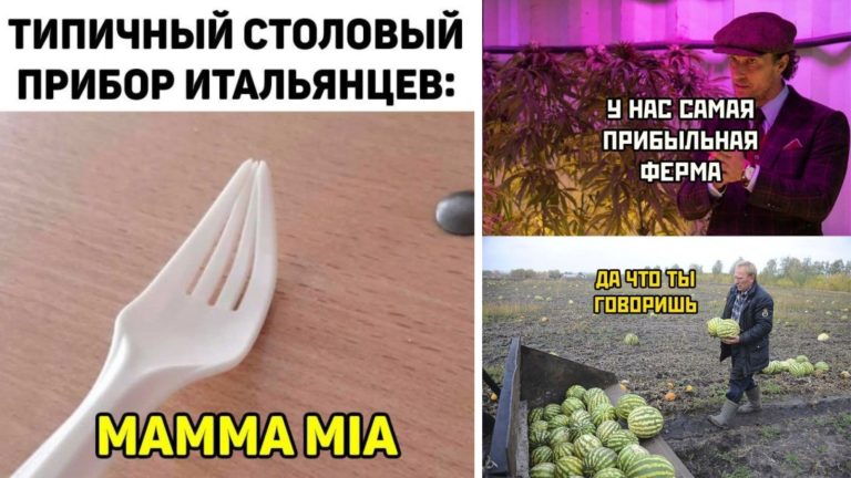Прикольные картинки с надписями и прибыльная ферма