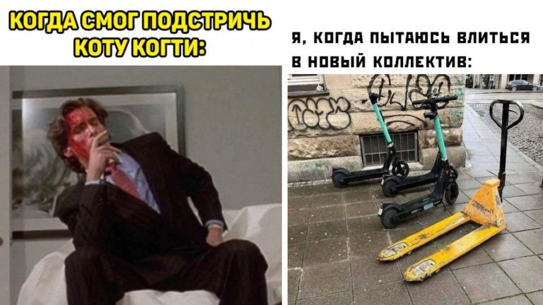 Прикольные картинки с надписями и когти