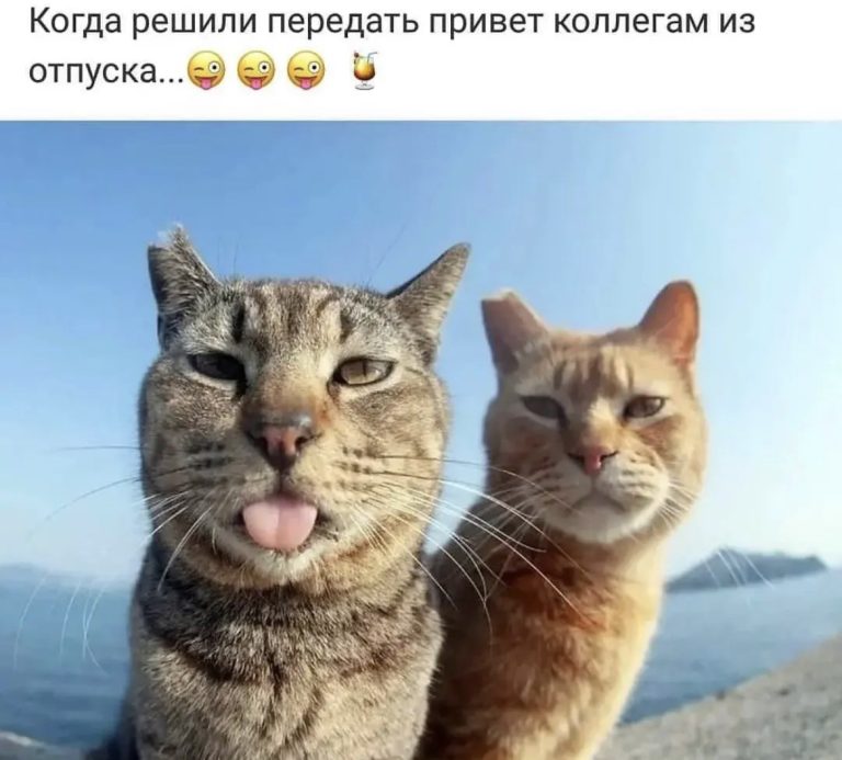 Юмор за день и фото из отпуска
