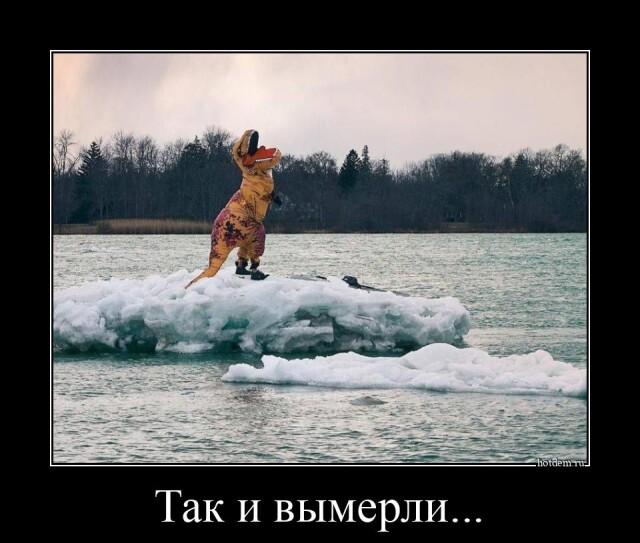 Новые демотиваторы и как вымерли динозавры