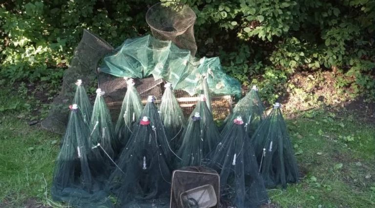 На Даугаве обнаружены 19 незаконных мест ловли раков. В одном из них погиб 5-килограммовый сом