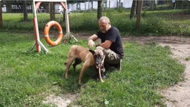 В Ulubele попадают порой напуганные животные. На помощь приходит кинолог