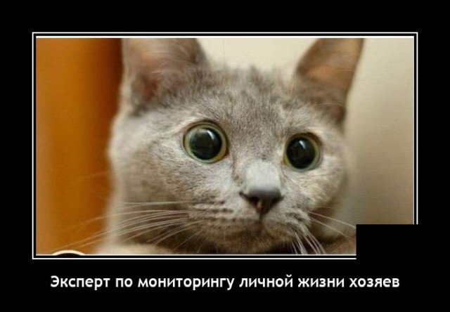 Новые демотиваторы и эксперт по мониторингу личной жизни