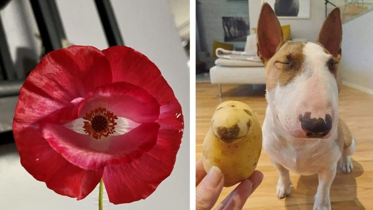 16 фотографий невероятных совпадений, на которые придется взглянуть дважды