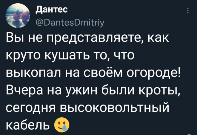 Прикольные картинки с надписями и кроты на ужин