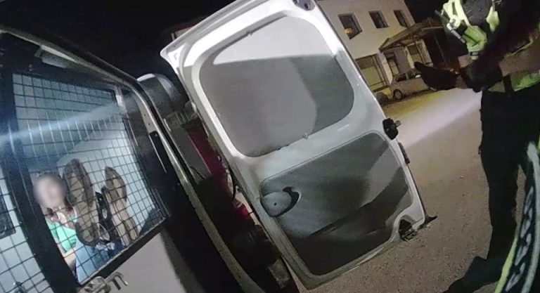 В Торнякалнсе пьяная женщина исцарапала полицейскому лицо и порвала жилет