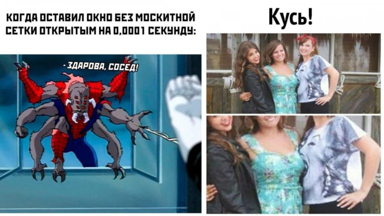Прикольные картинки с надписями и кусь