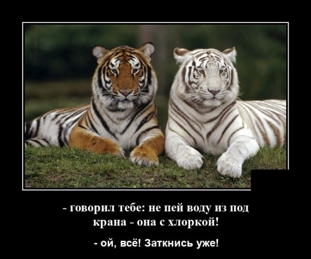 Новые демотиваторы и вода из под крана