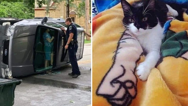 15 фотографий, которые способны буквально обмануть человека в первое мгновение