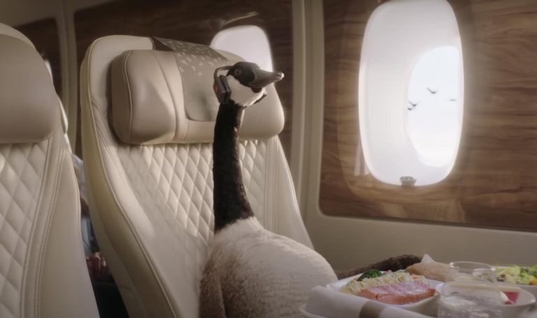 Авиакомпанию Emirates будет рекламировать гусь Джерри