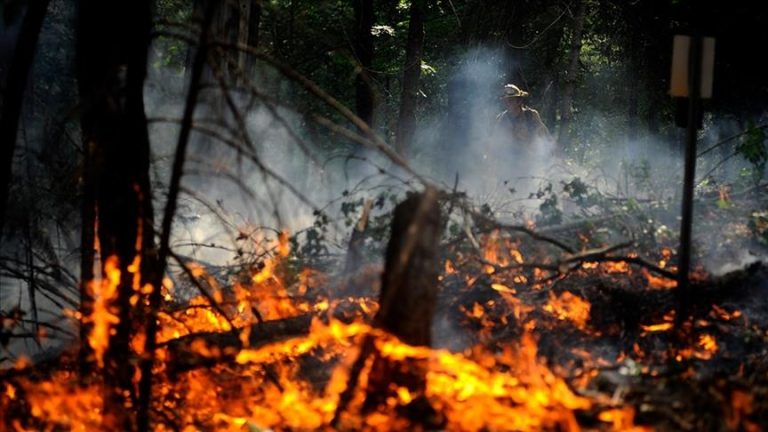 В Латвии отменен пожароопасный период