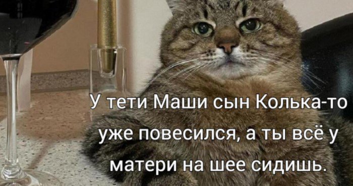 Шутки и мемы про сына маминой подруги который по-прежнему успешнее вас