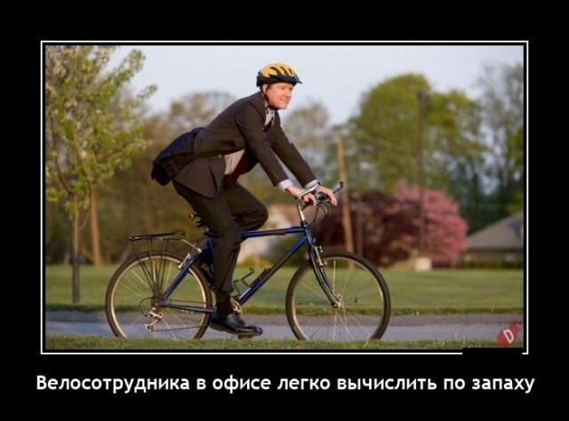 Новые демотиваторы и велосотрудник
