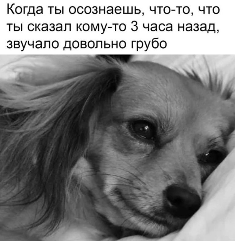 Юмор за день и барабан