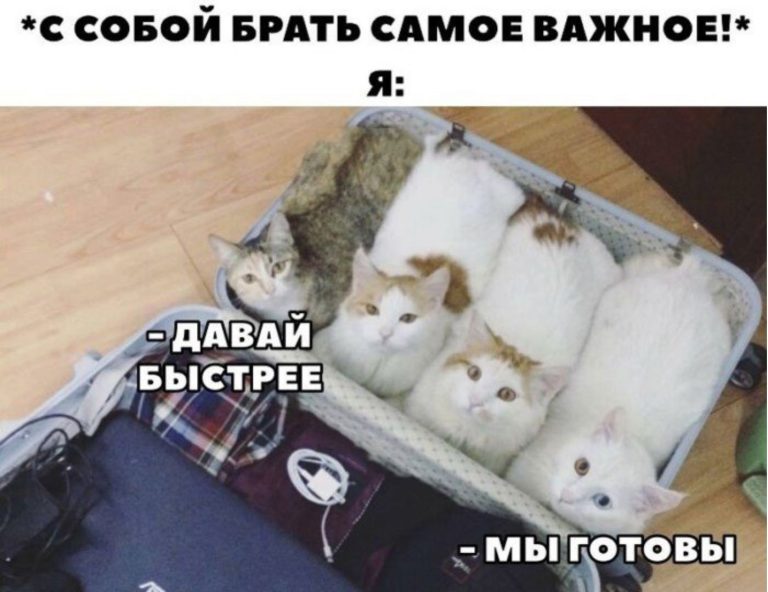 Когда бесят загорелые: пост про тех, кто провел лето на работе