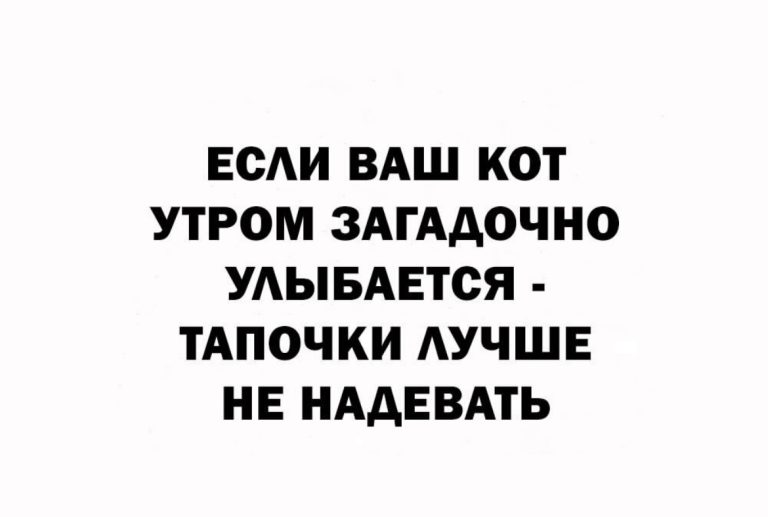 Юмор за день и тапочки
