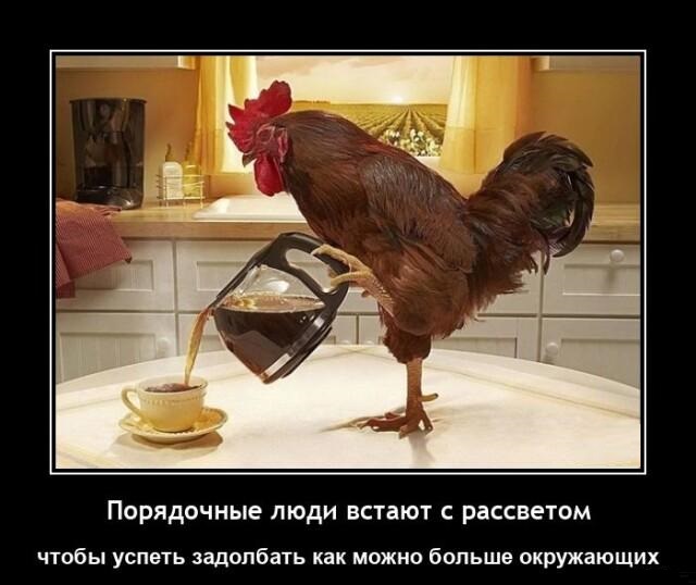 Новые демотиваторы и порядочные люди