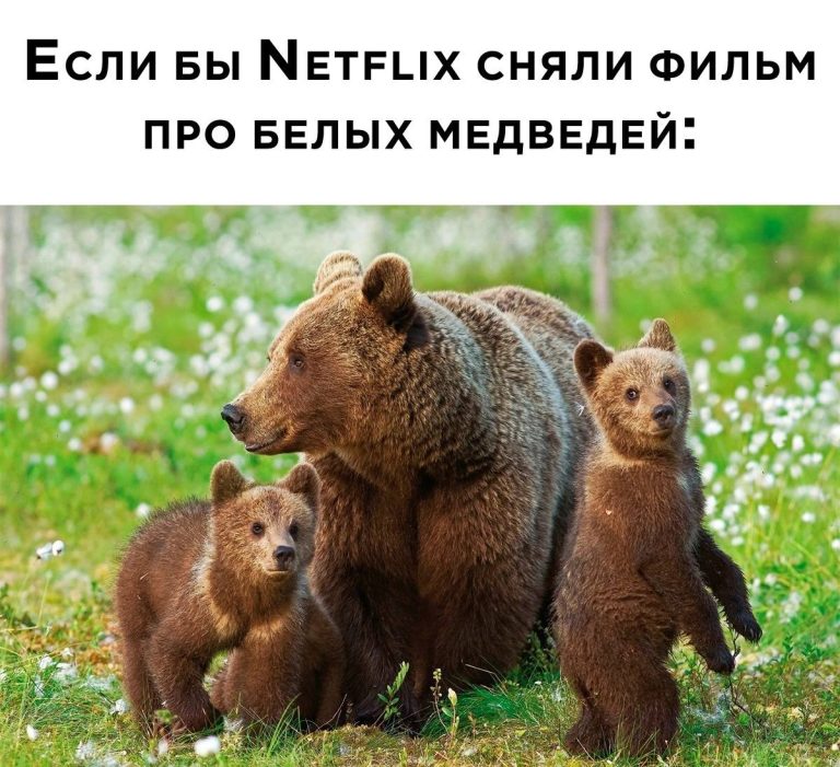 Юмор за день и Никита