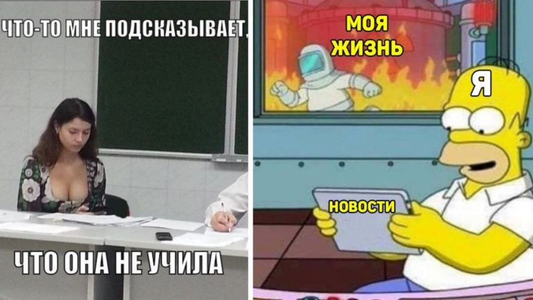 Прикольные картинки с надписями и невыученные уроки