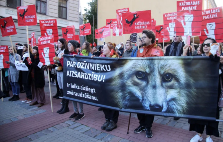 «Это моя мама, а не твоя шуба!» — у Сейма прошел пикет в поддержку защиты животных