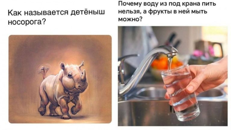 Подборка из серии «И тут я задумался» и носорожики