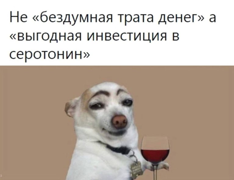 Юмор за день и фотка без белья