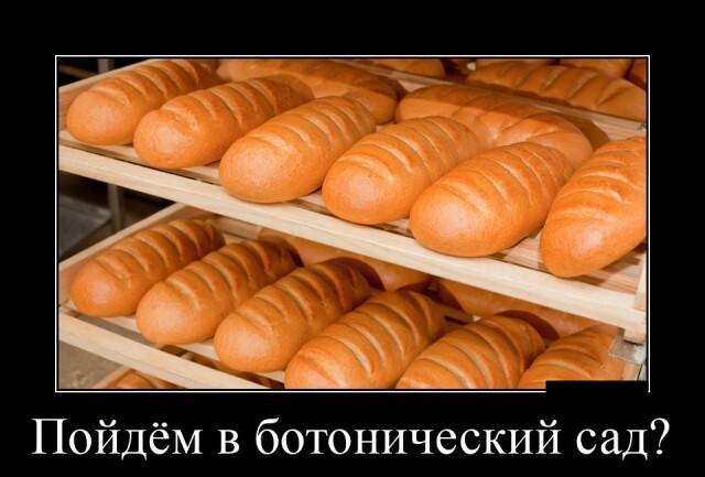 Новые демотиваторы и ботанический сад