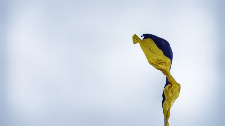 В Эстонии мужчина получил условный срок за поджог флага Украины